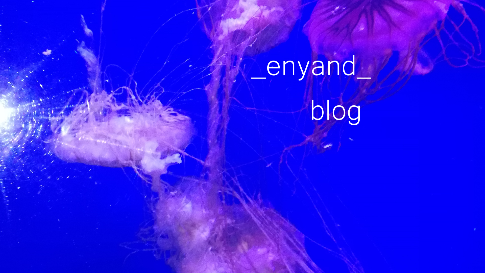 how-do-you-feel-today-enyand